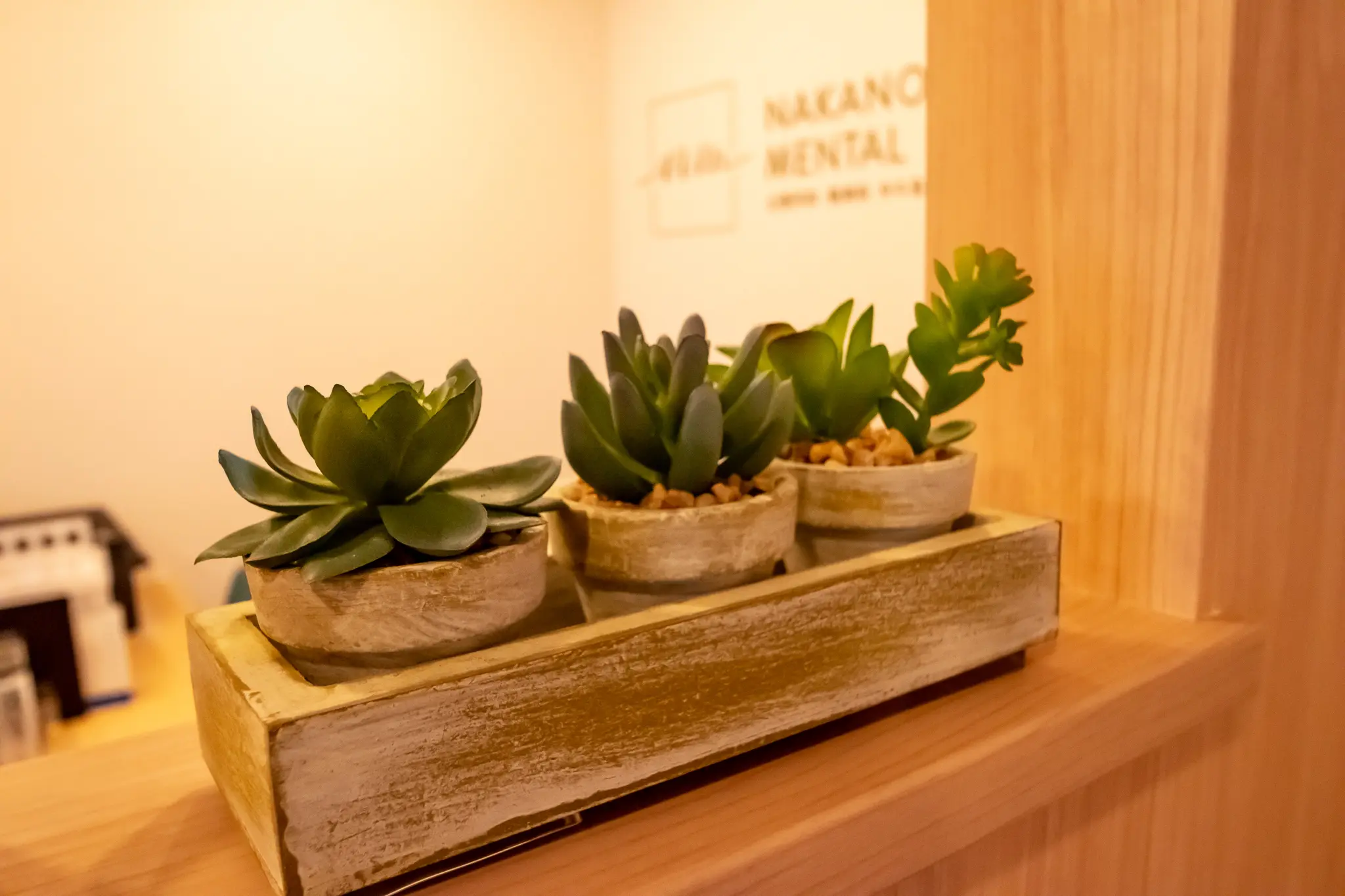 中の島メンタルクリニックは地下鉄南北線 中の島駅直結の心療内科・精神科です。お薬とお薬以外の両面で治療を行います。その場しのぎの応急処置的な治療ではなく、病気が再発しそうになっても大丈夫と自信をもっていただける中・長期的な治療を目指しています。